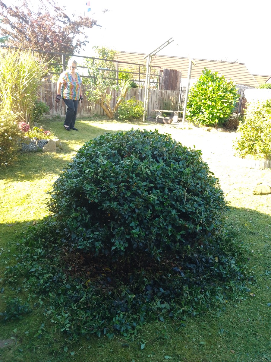 Profile: Image 3